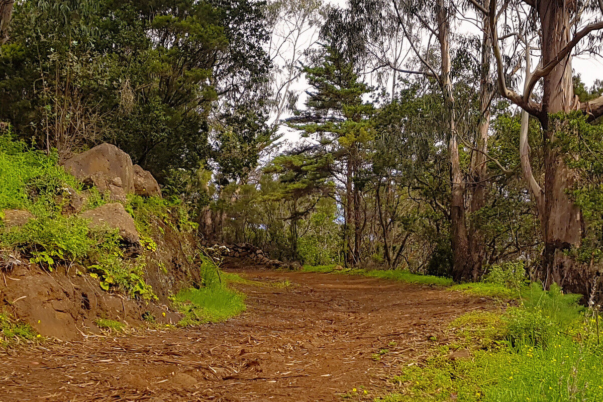 Auf der Ruta del Agua.