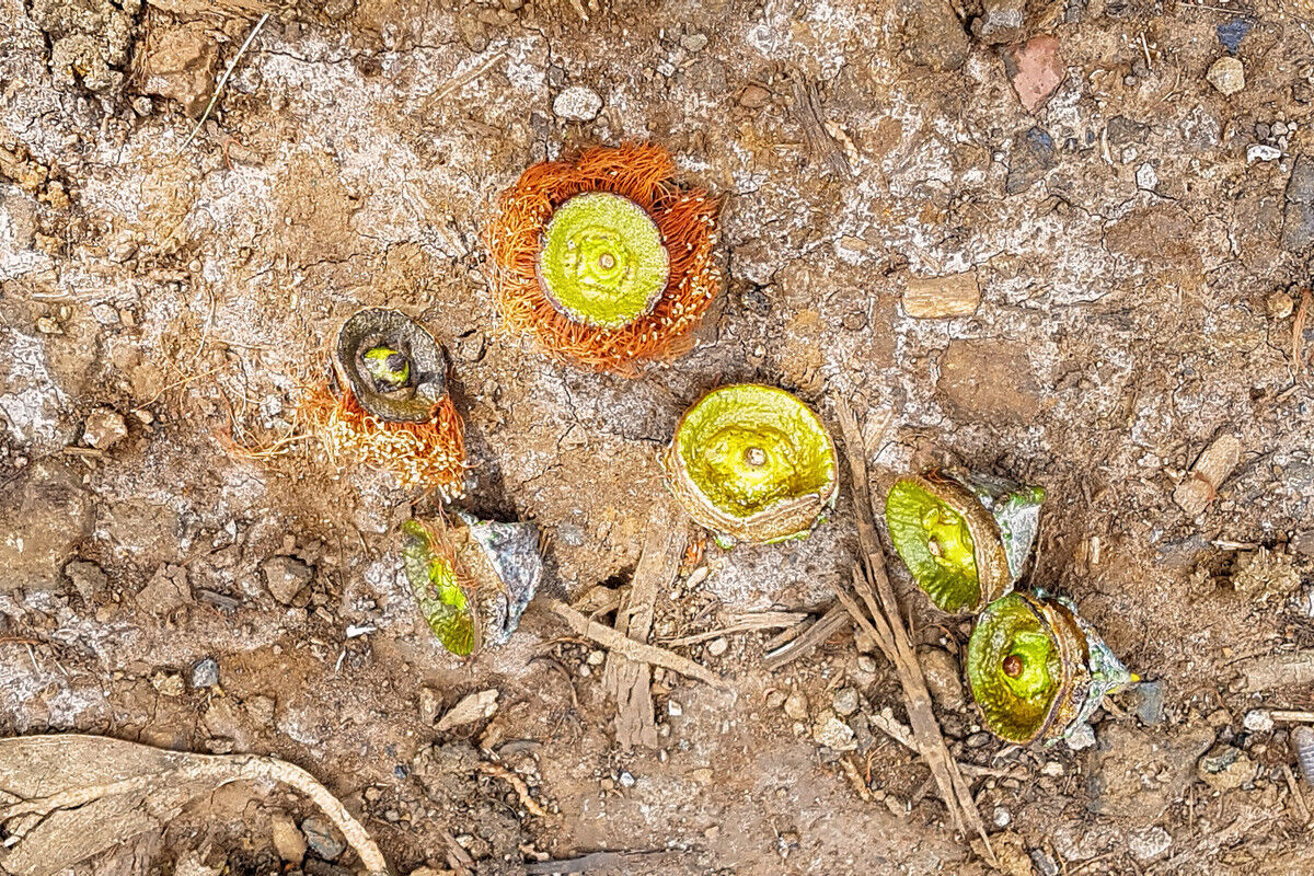 Auf der Ruta del Agua.