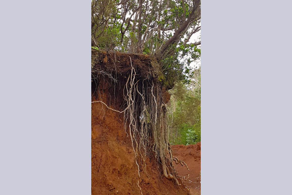 Auf der Ruta del Agua.