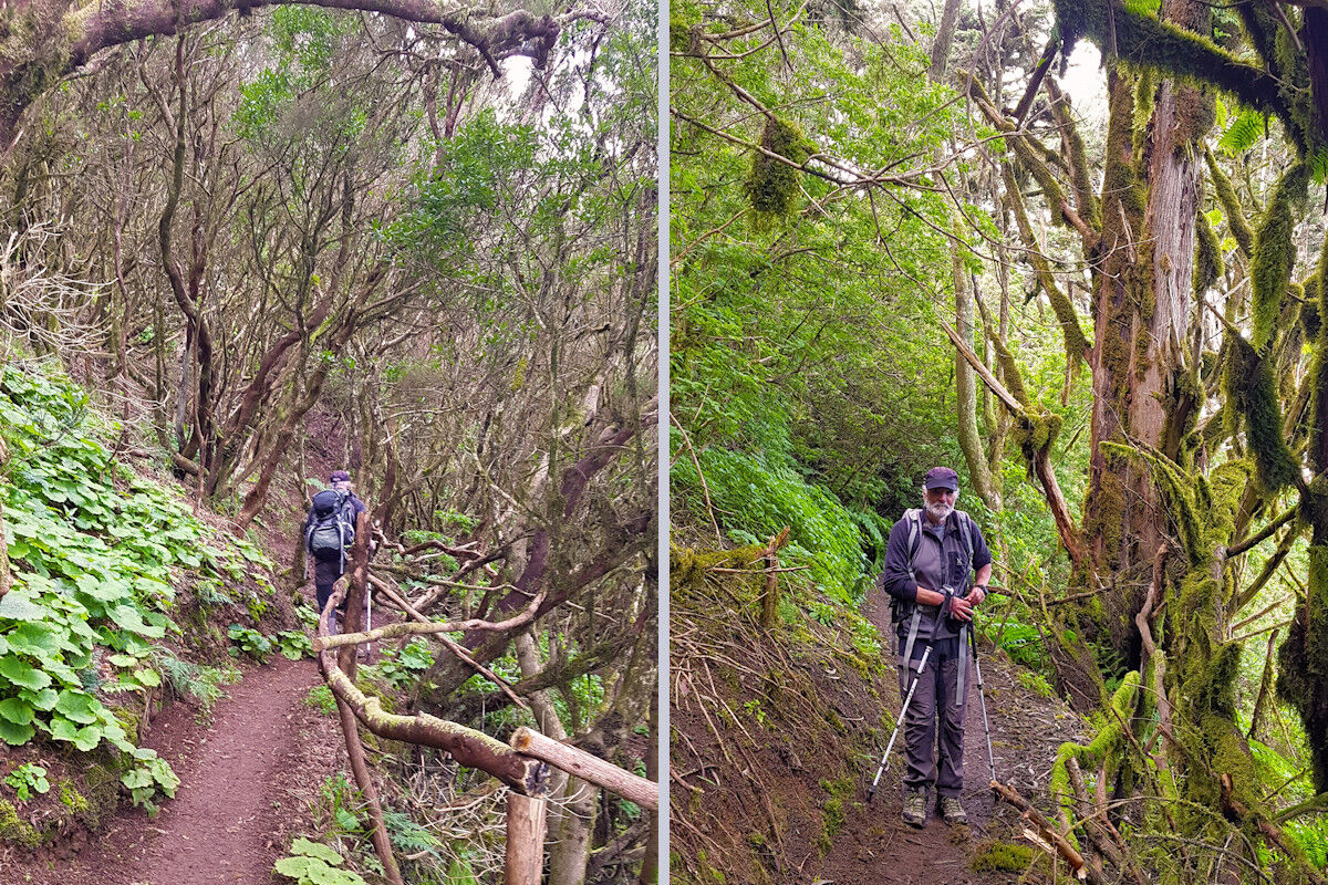 Auf der Ruta del Agua.