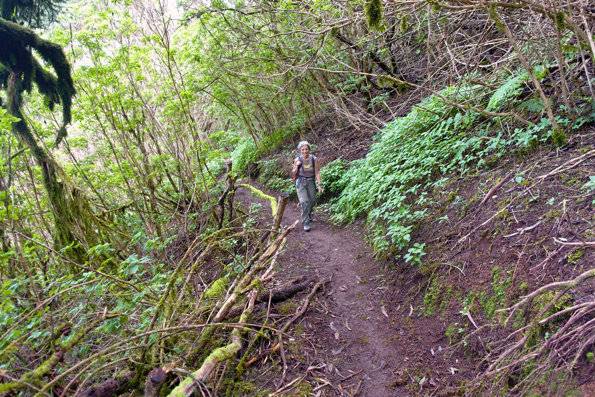 Auf der Ruta del Agua.