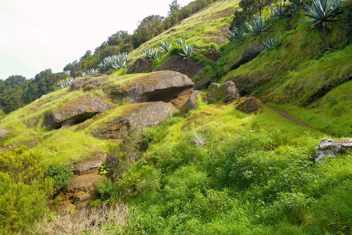 Auf der Ruta del Agua.