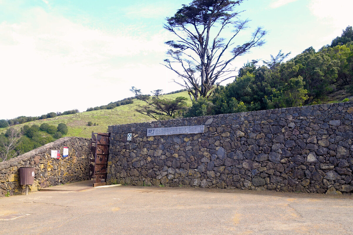 Besucherzentrum Árbol Garoé.