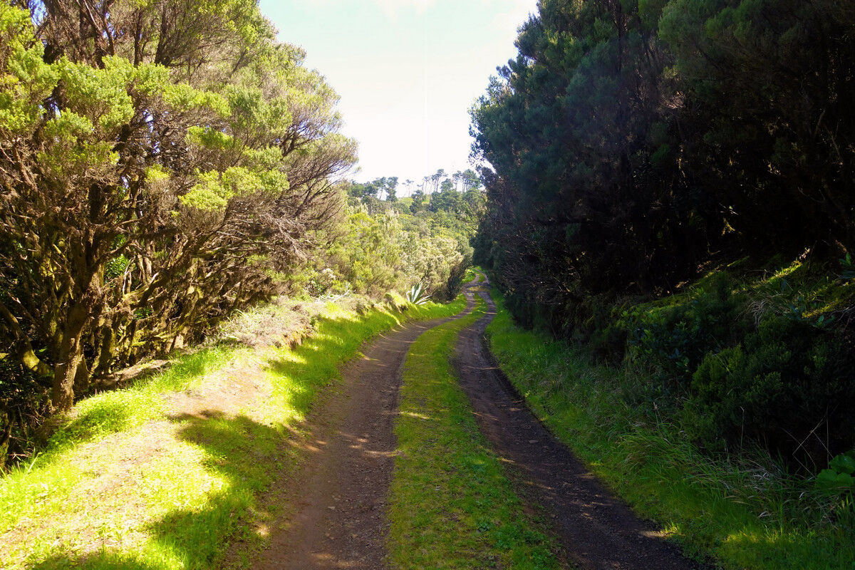 Aufstieg zum Ventejís.