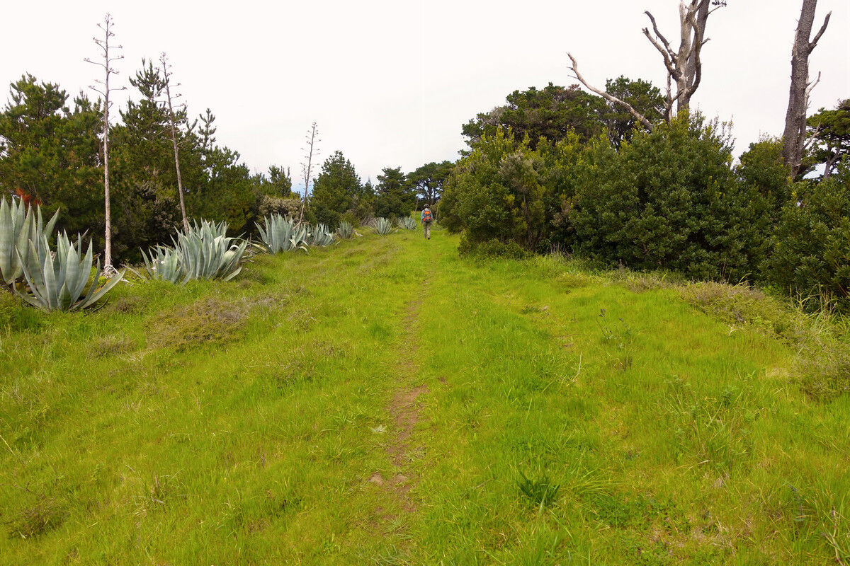 Auf dem Kammweg zurück zum Charca de Tefirabe.