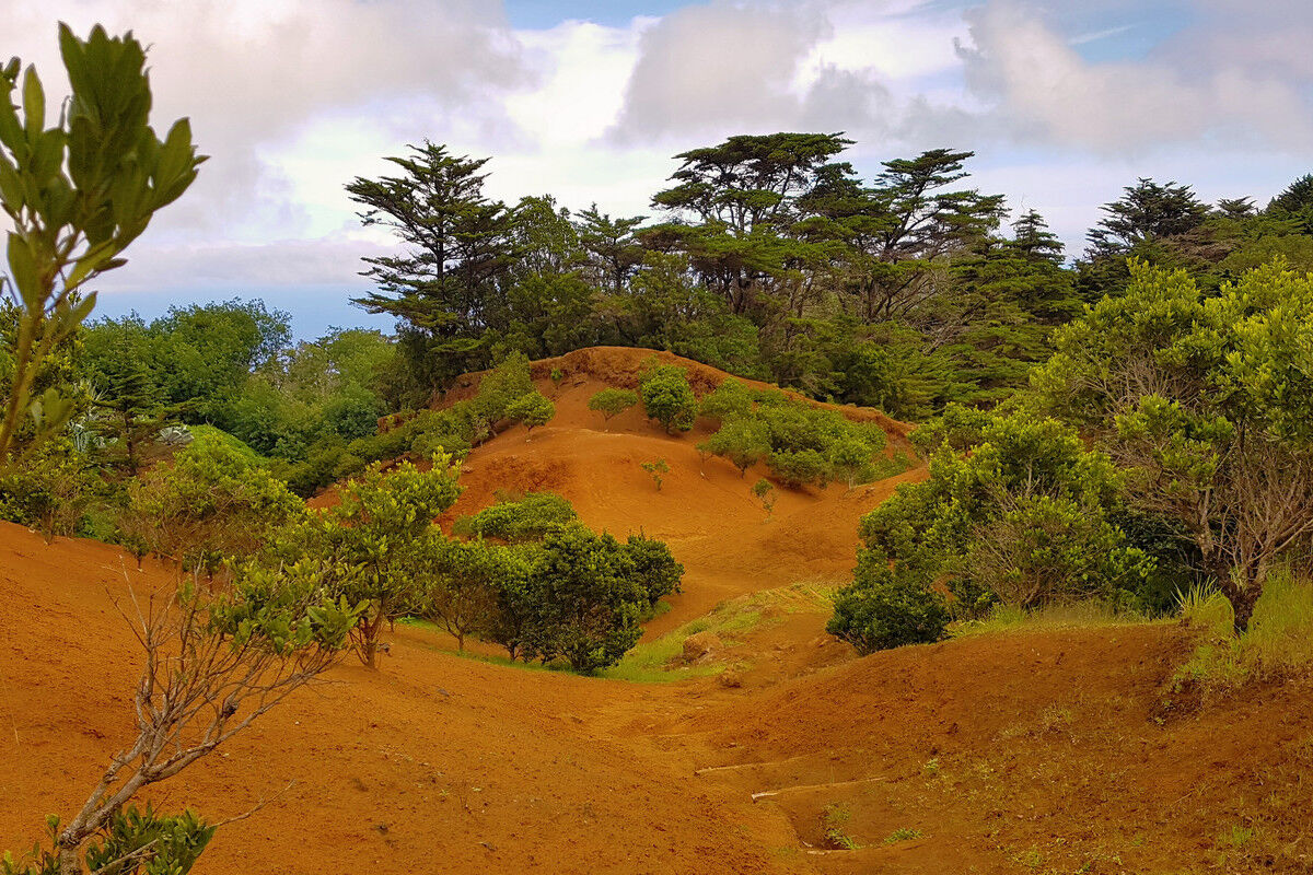 Auf dem Kammweg zurück zum Charca de Tefirabe.