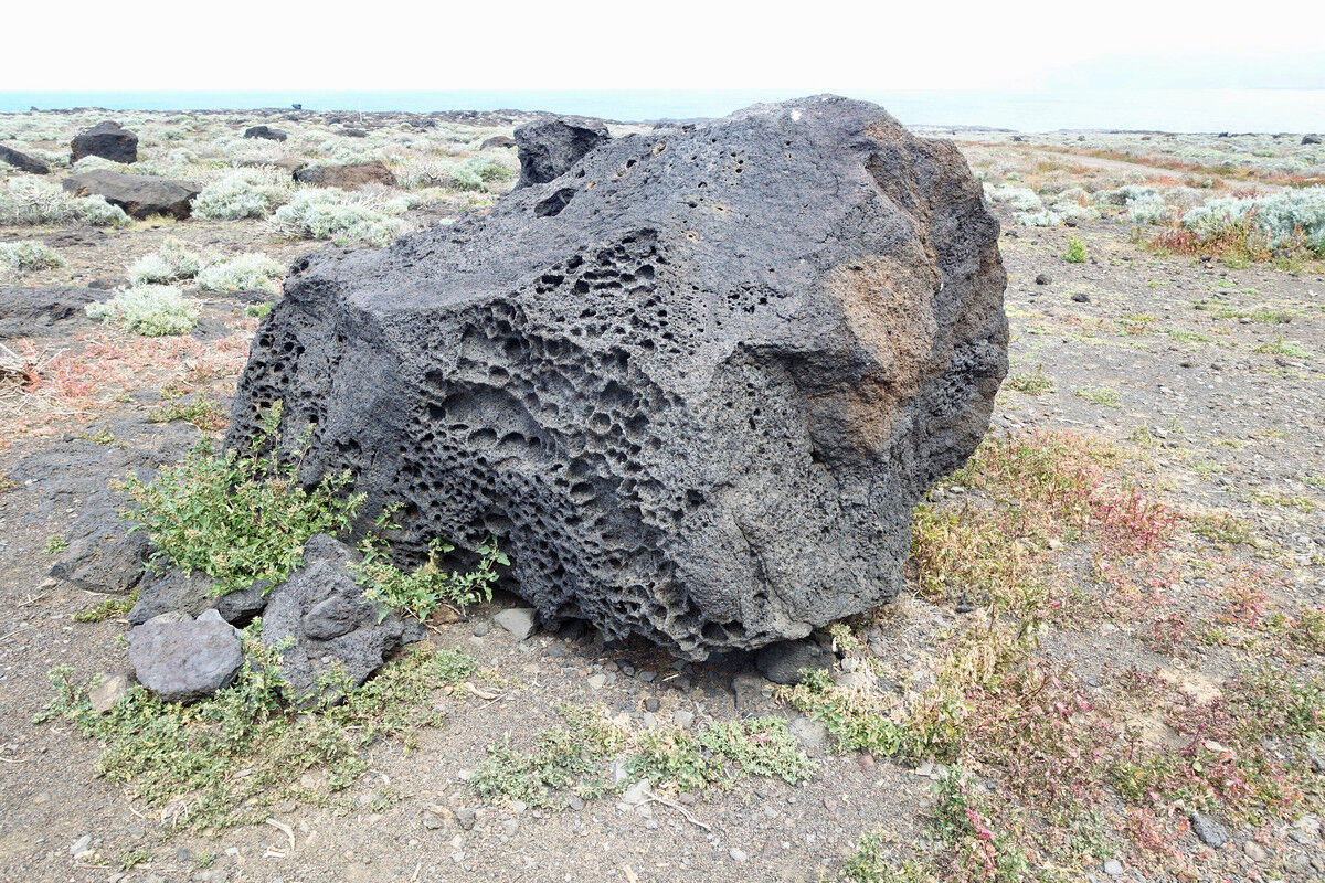 Auf dem Küstenpfad.