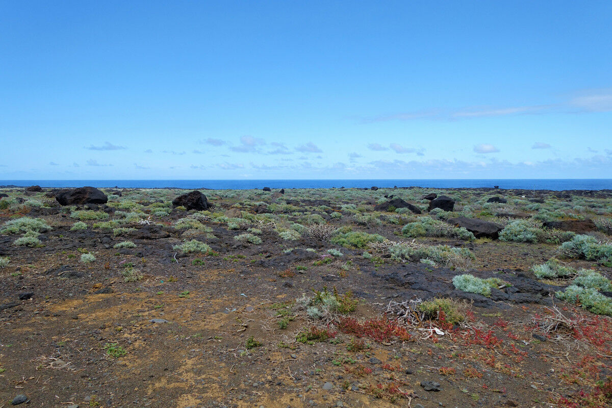 Auf dem Küstenpfad.