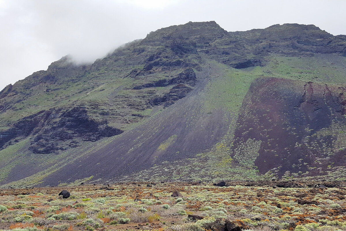Auf dem Küstenpfad.