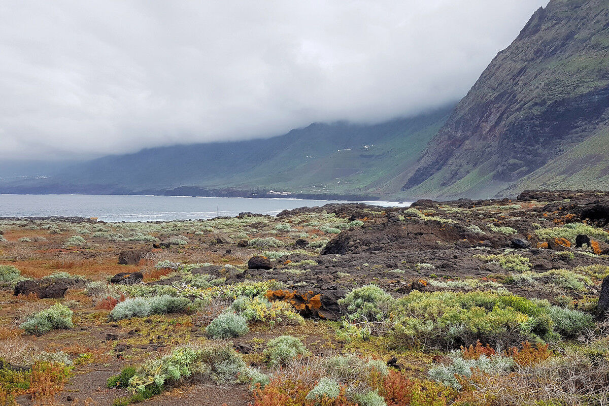 Auf dem Küstenpfad.