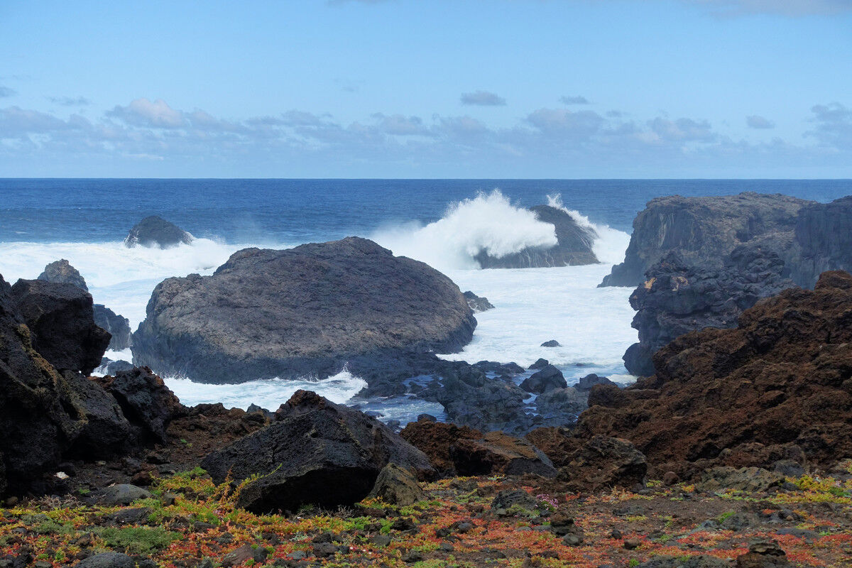 Auf dem Küstenpfad.