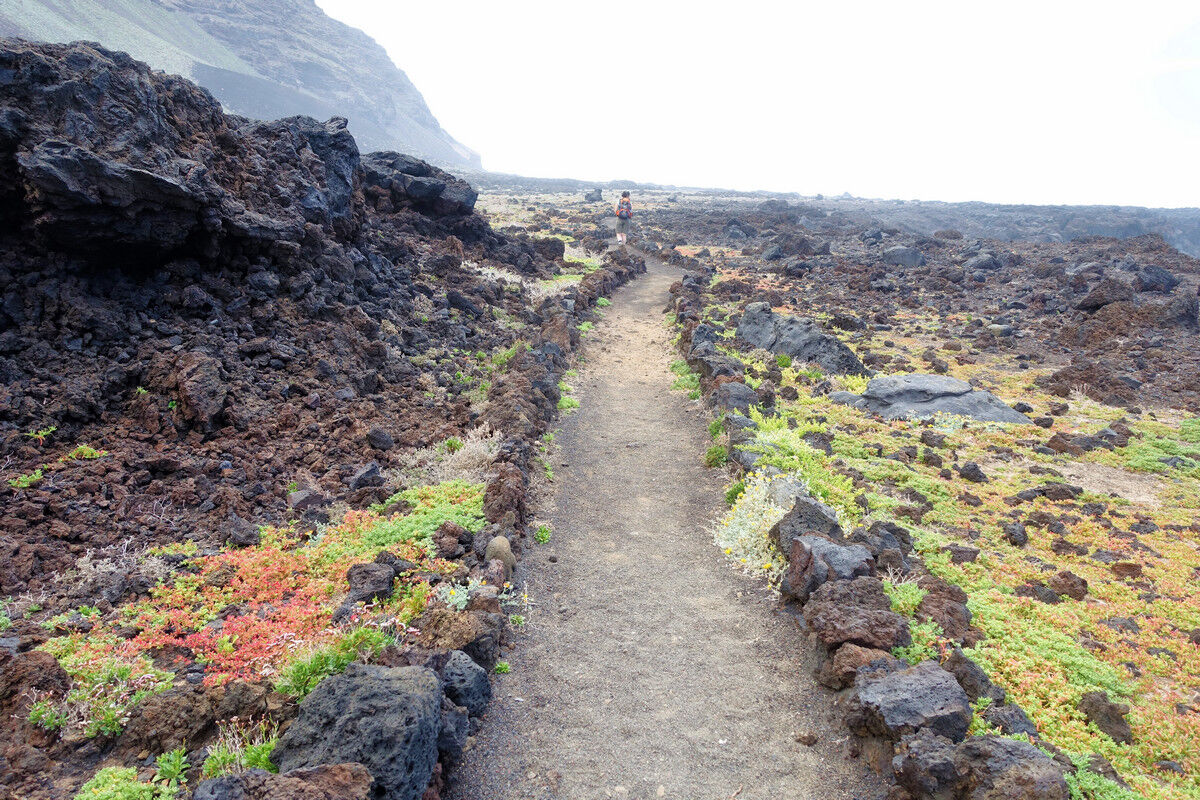 Auf dem Küstenpfad.