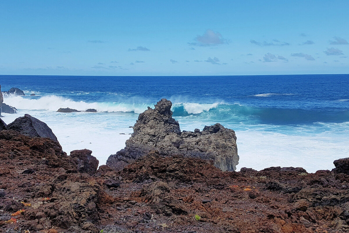 Auf dem Küstenpfad.