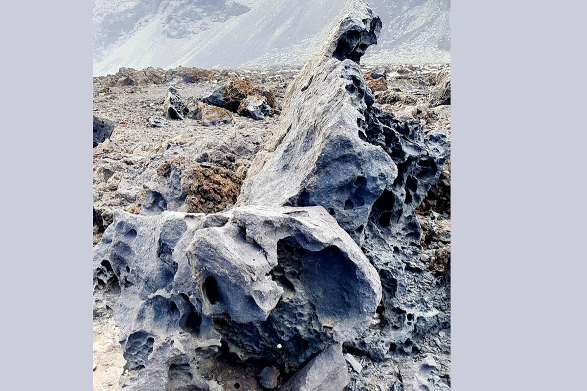 Auf dem Küstenpfad.