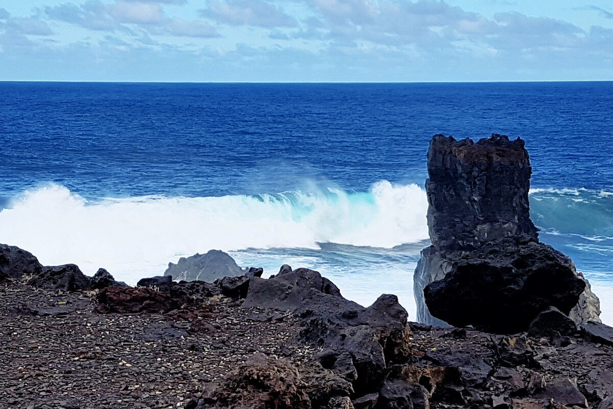 Auf dem Küstenpfad.