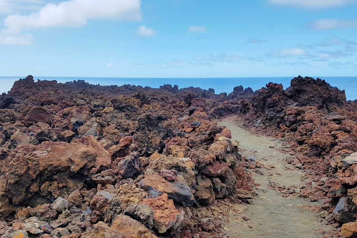 Auf dem Küstenpfad.