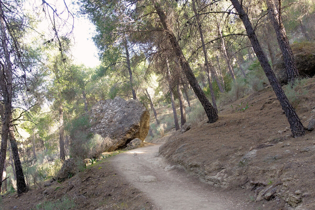 Gemütlicher Wanderweg.