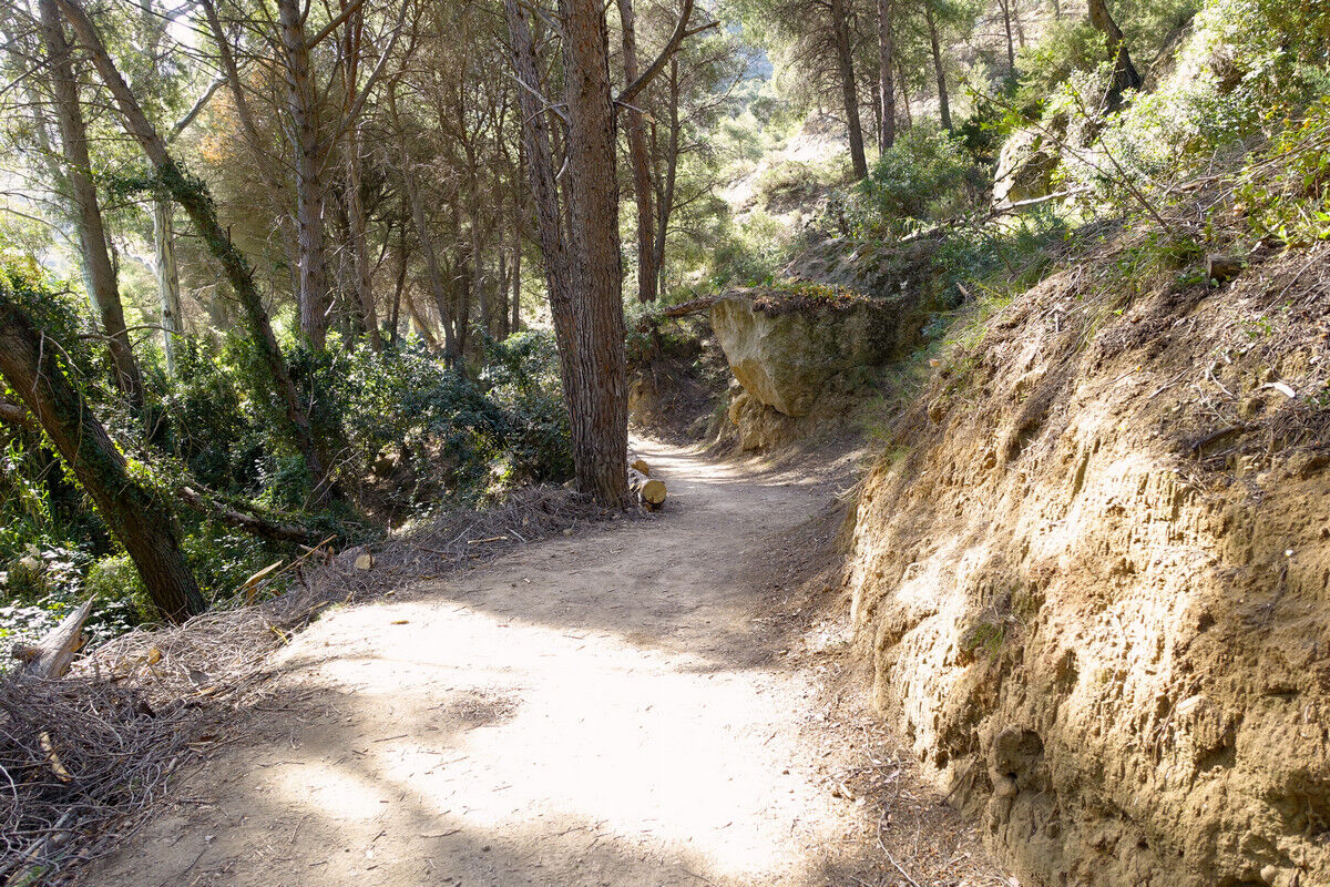 Gemütlicher Wanderweg.