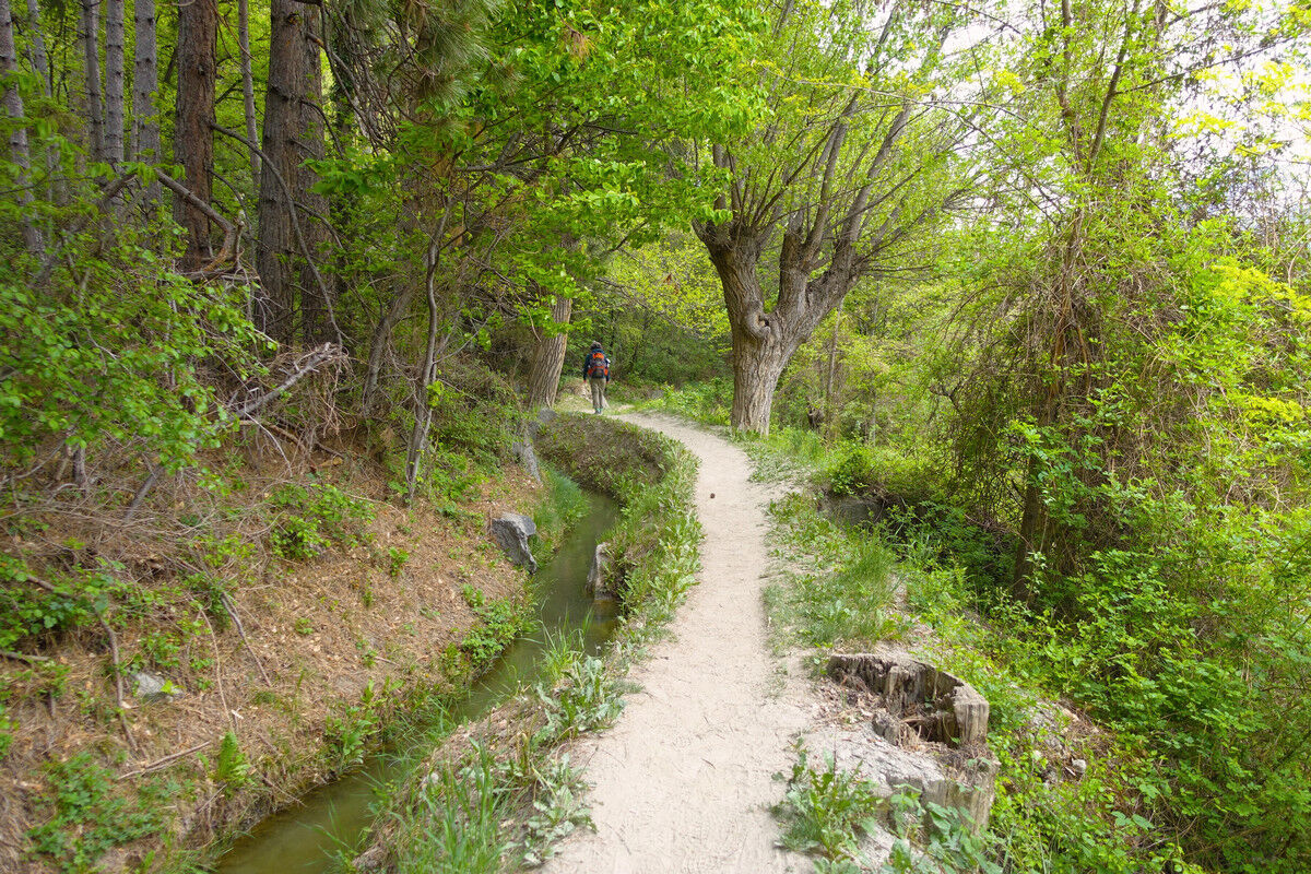 Auf dem Latschanderwaalweg.