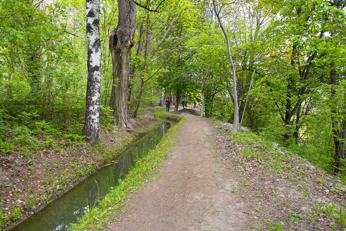 Auf dem Latschanderwaalweg.