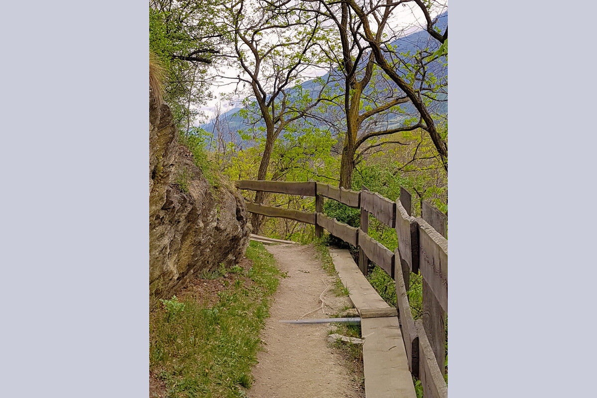 Auf dem Latschanderwaalweg.