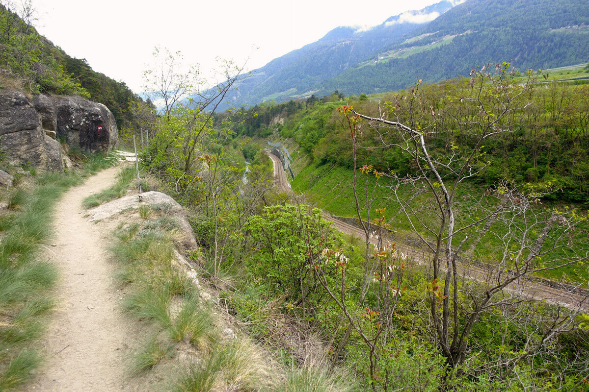 Auf dem Latschanderwaalweg.
