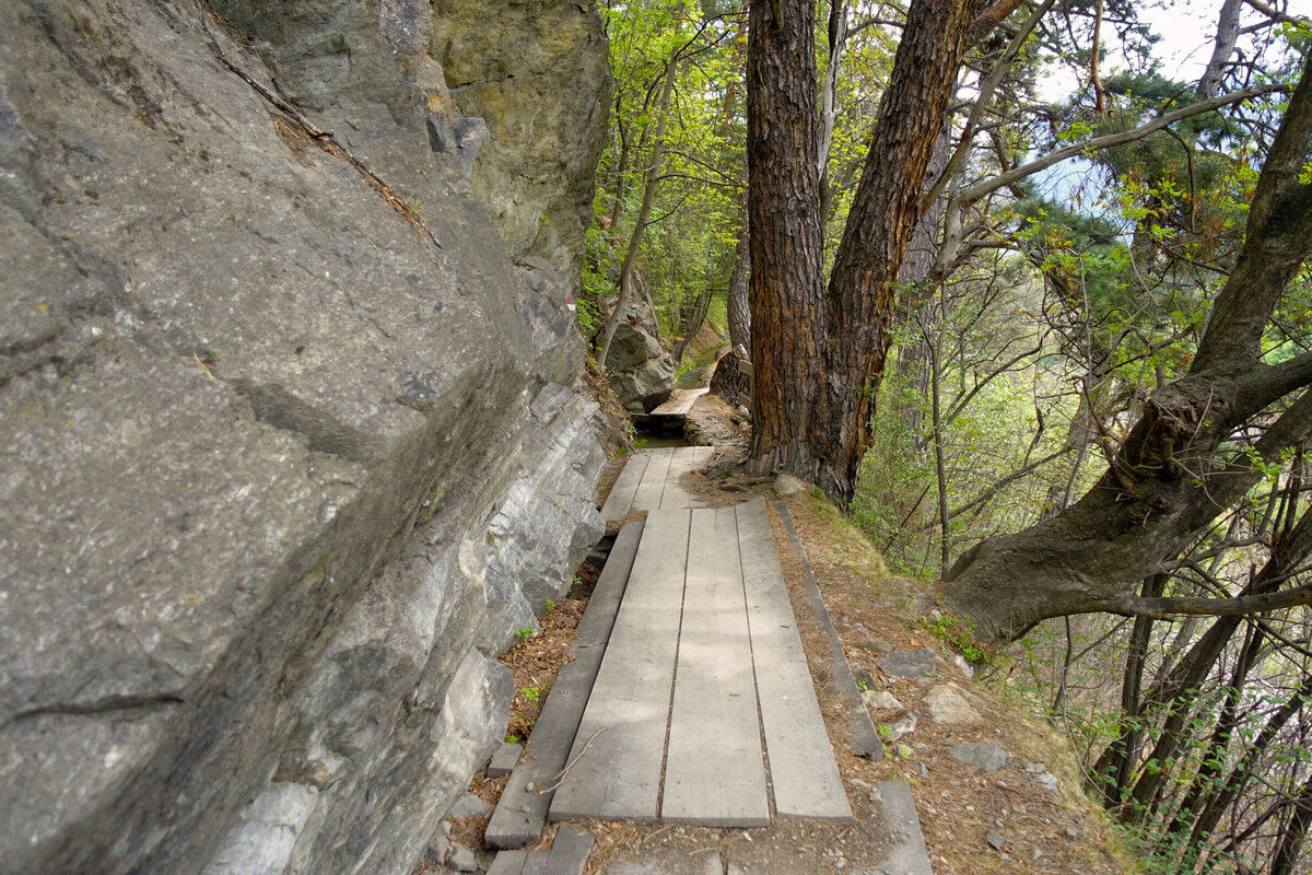 Auf dem Latschanderwaalweg.