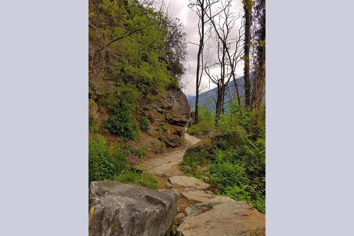 Auf dem Latschanderwaalweg.