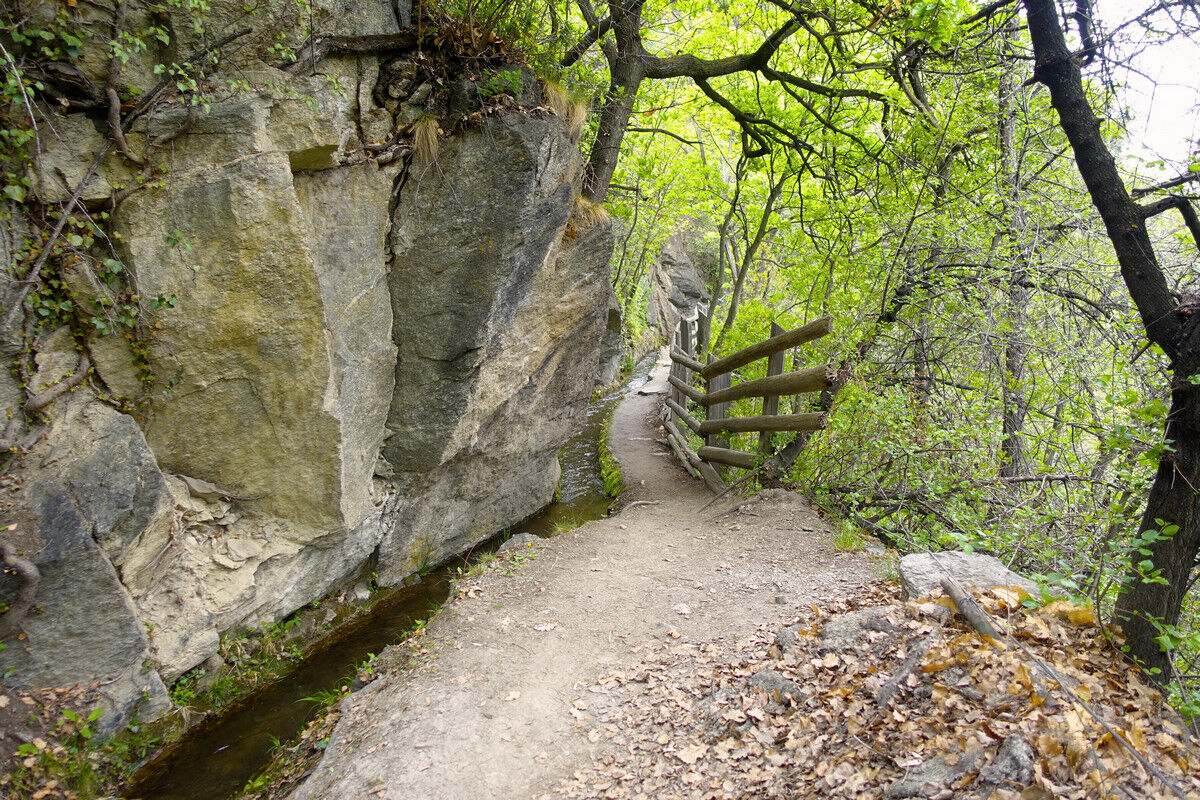 Auf dem Latschanderwaalweg.