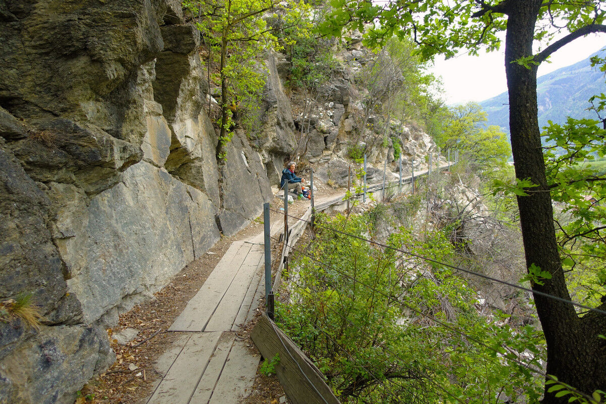 Auf dem Latschanderwaalweg.