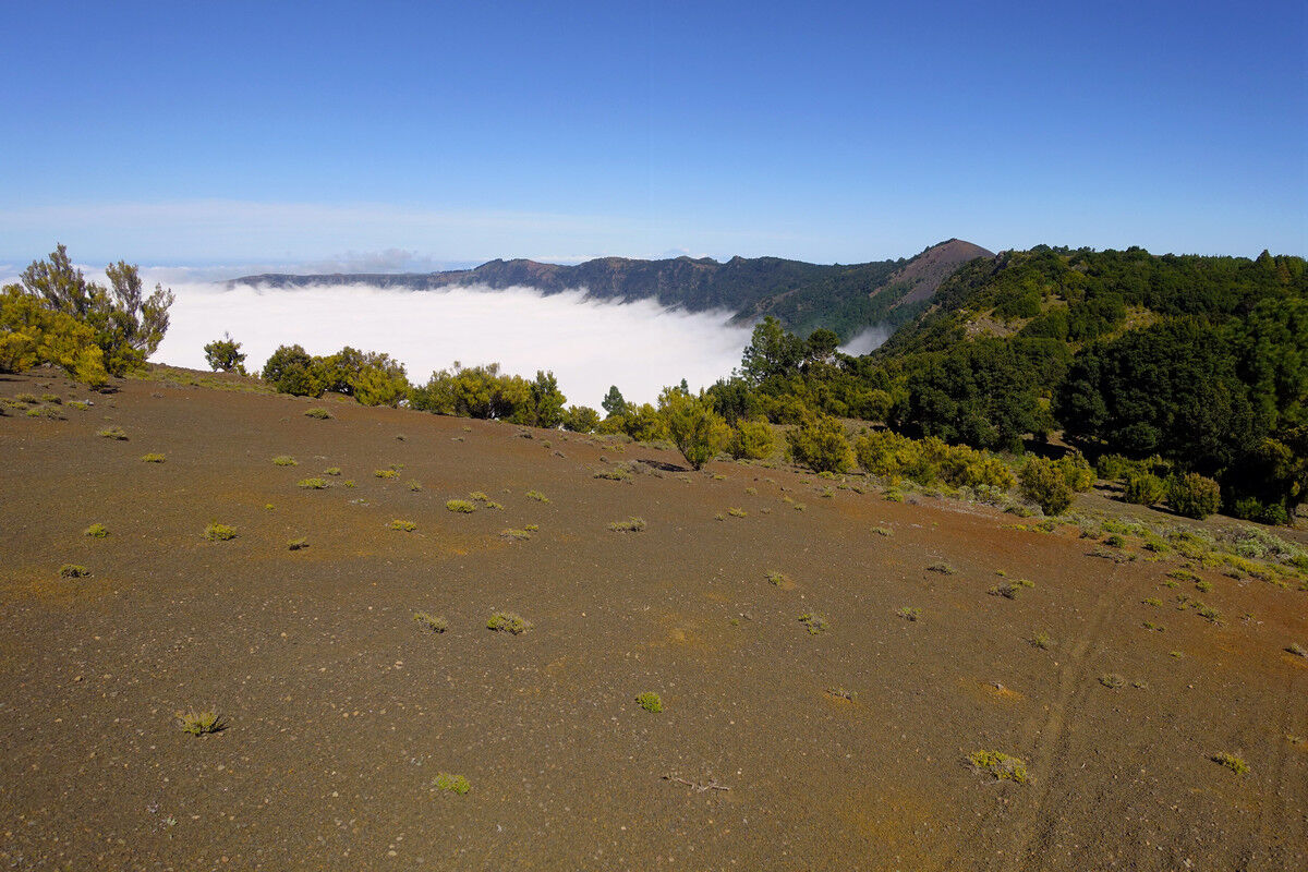 Blick zurück über den Kamm der Insel.