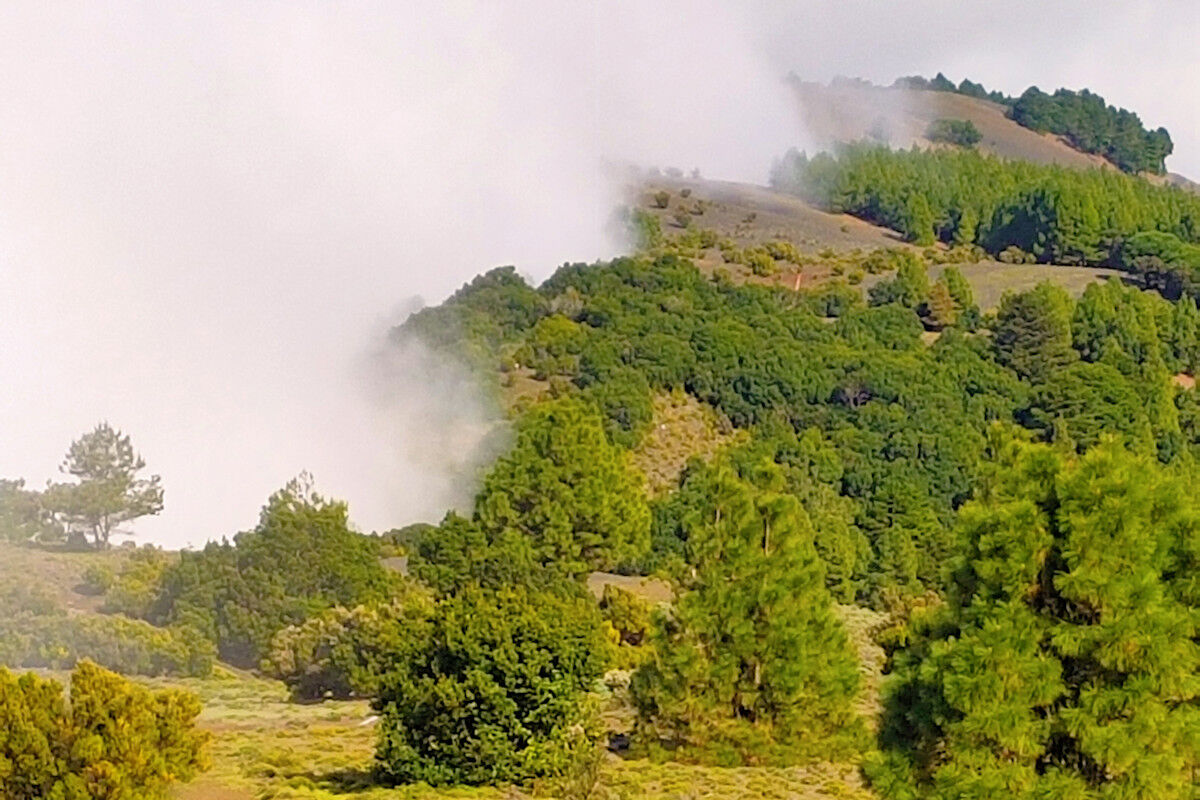 Langsam kommt der Nebel immer höher.
