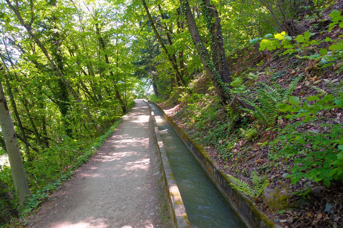 Auf dem Marlinger Waalweg.