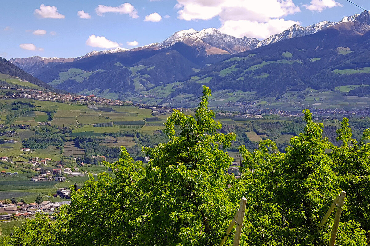 Blick über das Meraner Becken.