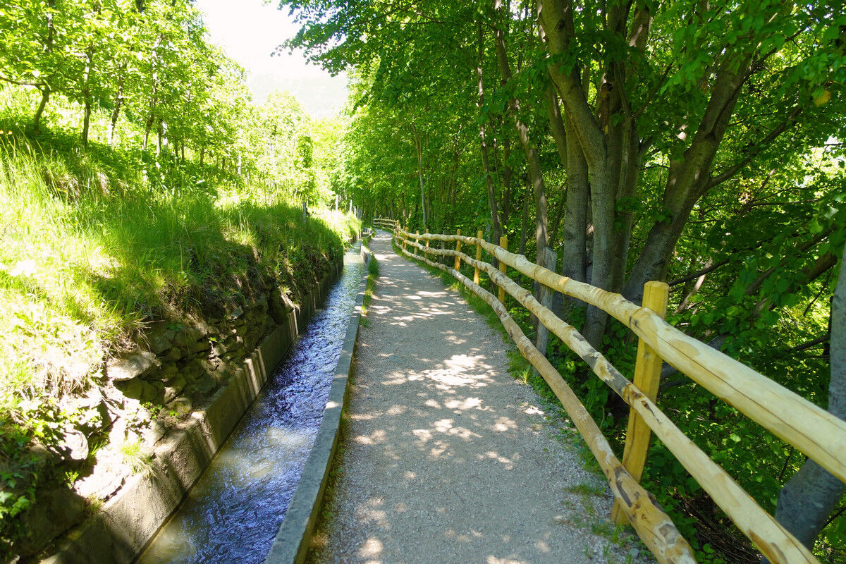 Auf dem Marlinger Waalweg.