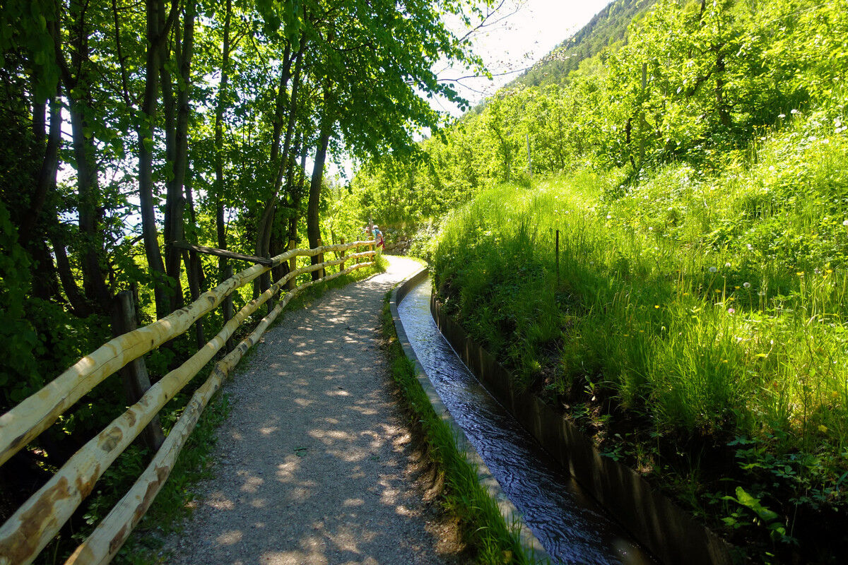 Auf dem Marlinger Waalweg.