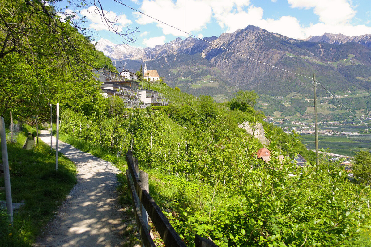 Auf dem Marlinger Waalweg.