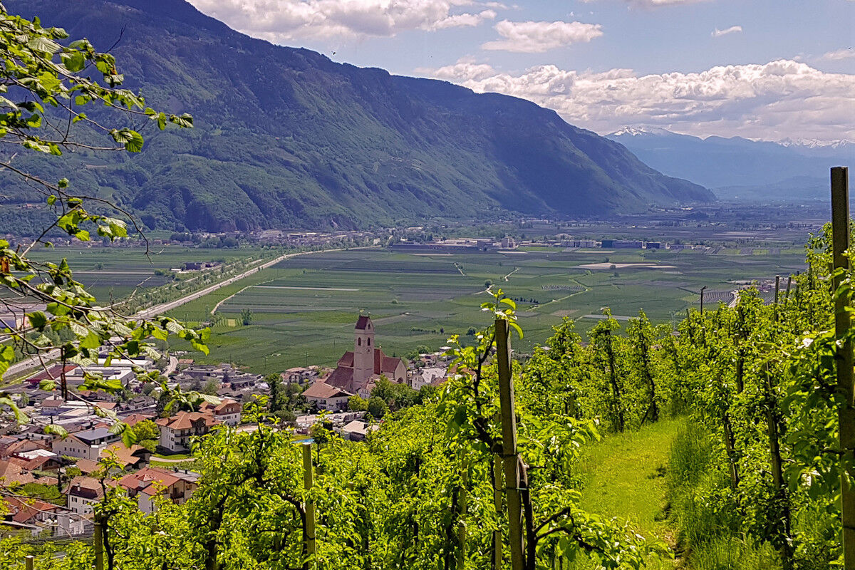 Blick über das Meraner Becken.