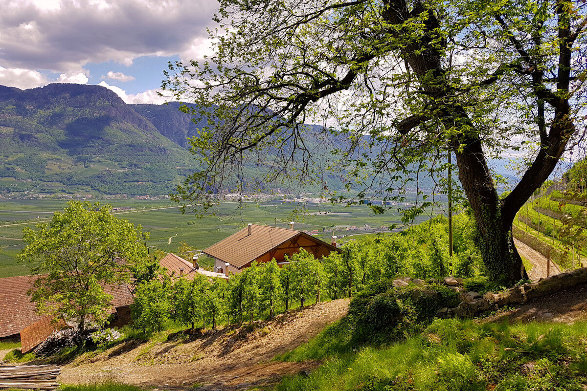 Blick über das Meraner Becken.