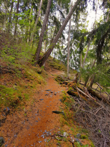 Auf dem Edelweißsteig.