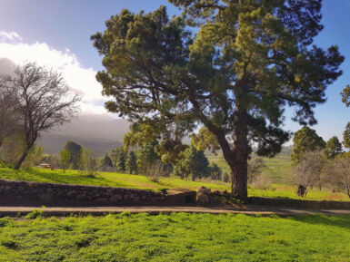 Ermita de la Virgen del Pino.