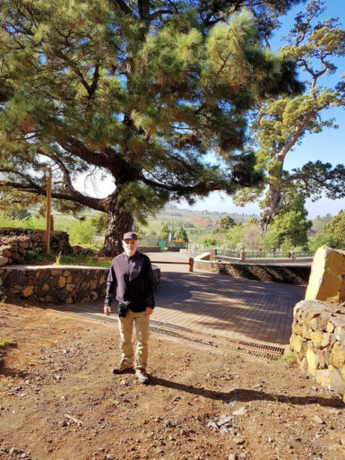 Ermita de la Virgen del Pino.