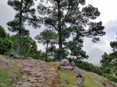 Aufstieg auf dem Camino Real.