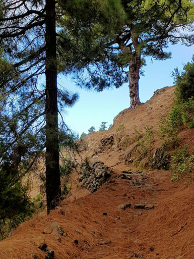 Aufstieg auf dem Camino Real.