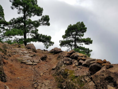 Aufstieg auf dem Camino Real.