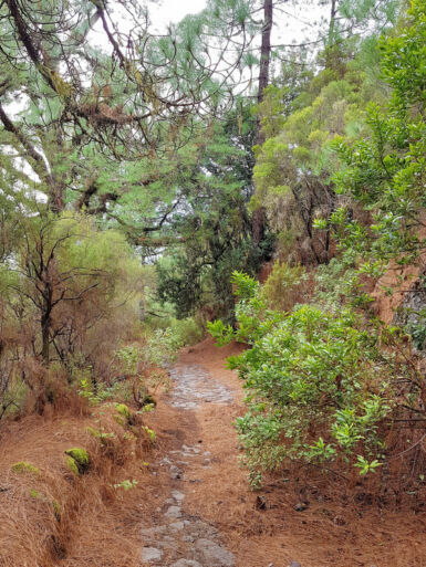 Aufstieg auf dem Camino Real.