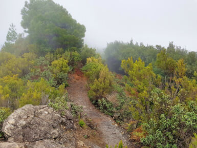 Auf dem Kammweg Cumbre Nueva.