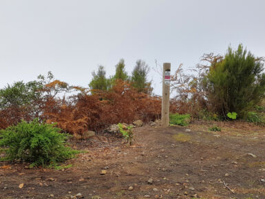 Auf dem Kammweg Cumbre Nueva.