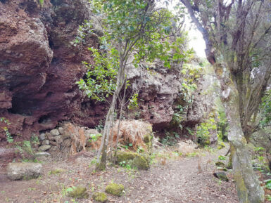 Auf dem Kammweg Cumbre Nueva.