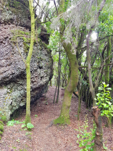 Auf dem Kammweg Cumbre Nueva.